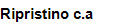 Ripristino c.a